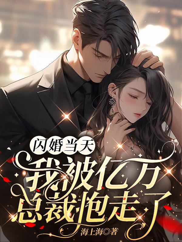 闪婚当天,我被亿万总裁抱走了