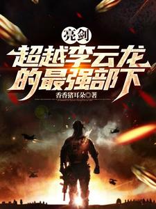 亮剑:从小兵到旅长