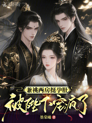 兼祧两房挺孕肚，被陛下宠疯了