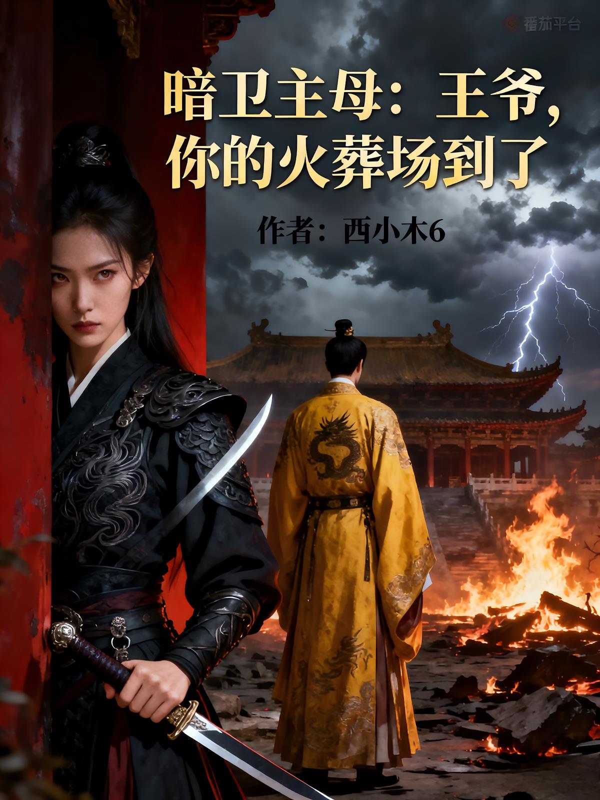 暗卫主母：王爷，你的火葬场到了